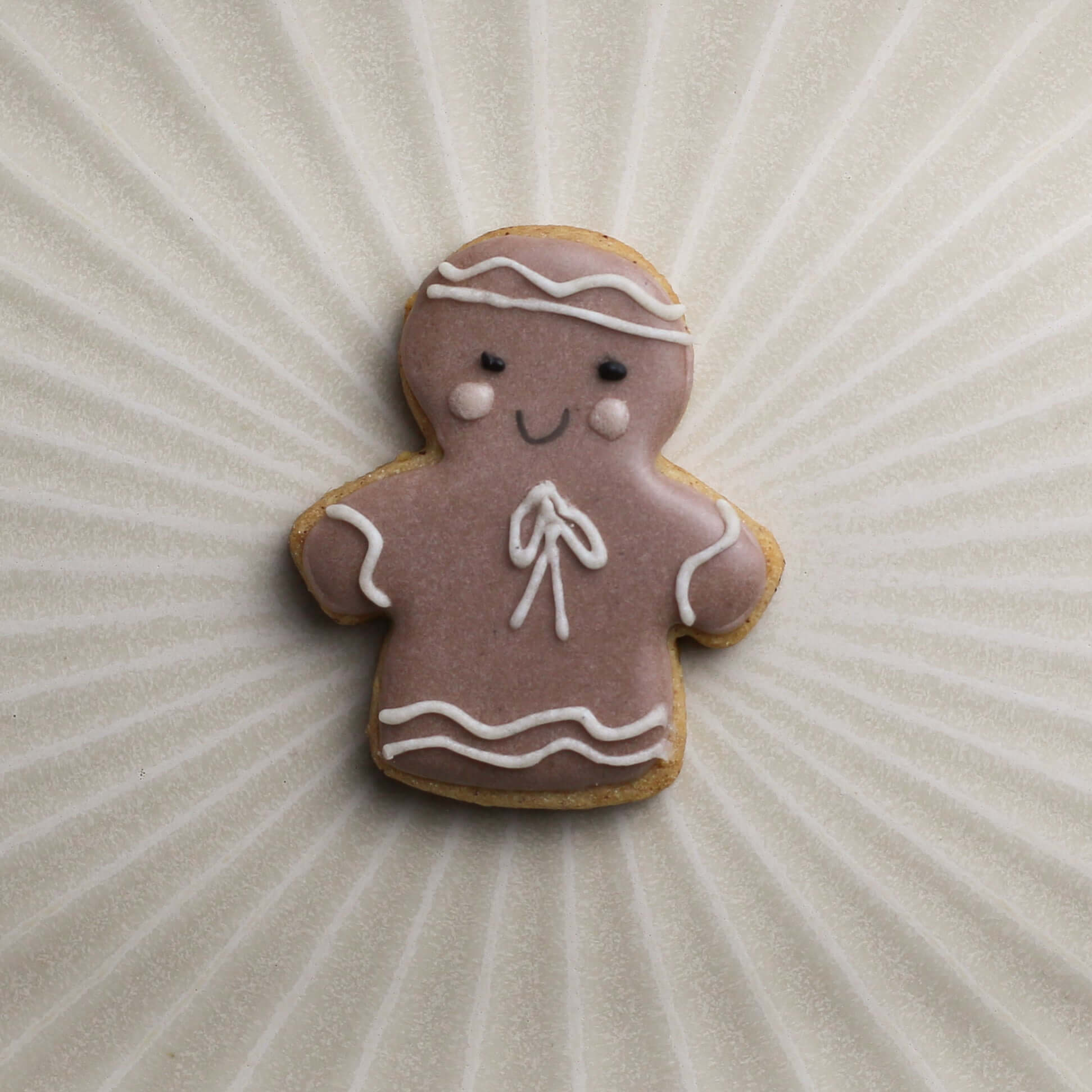 Lots de 5 Biscuits Hivers