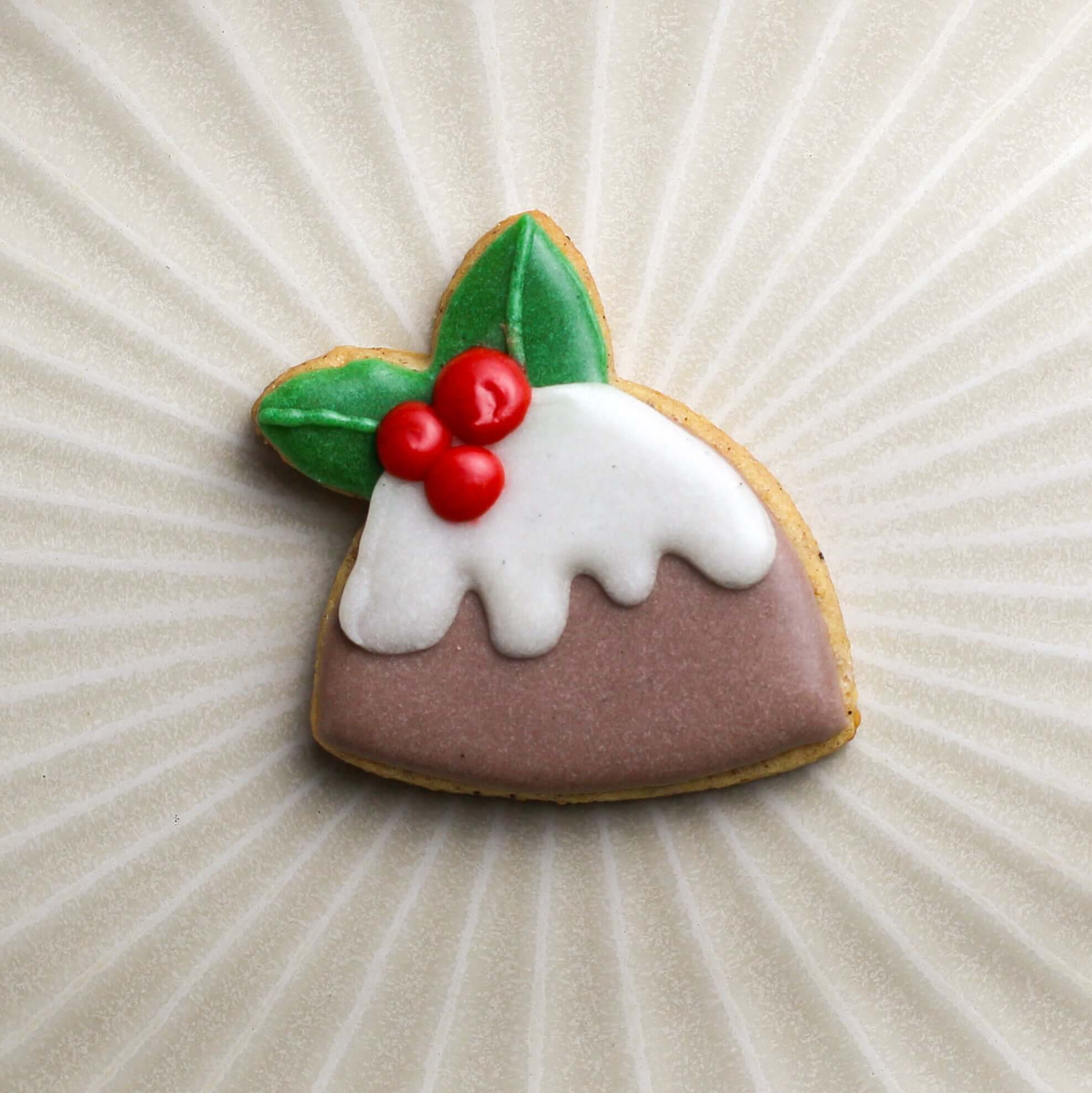 Lots de 5 Biscuits Hivers