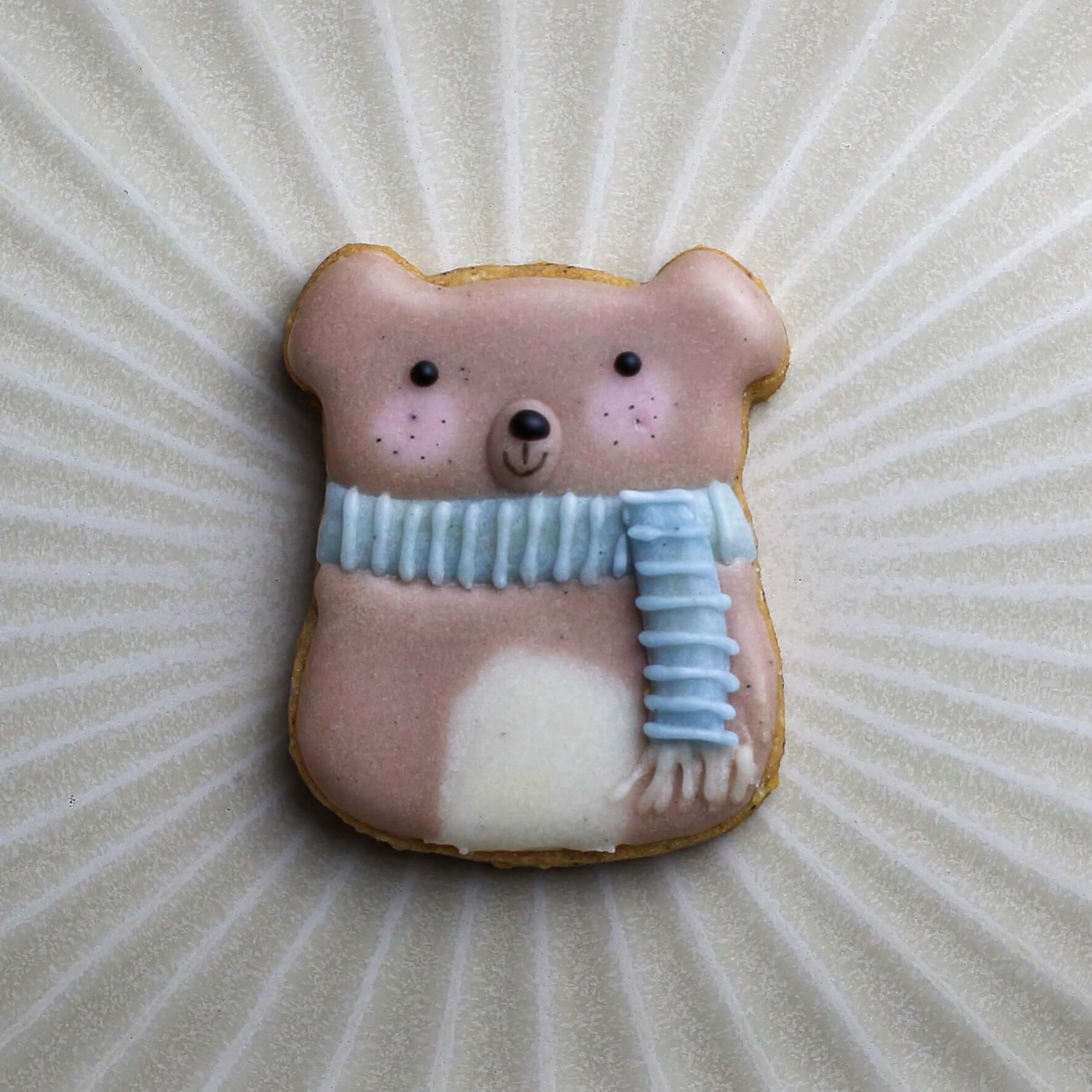 Lots de 5 Biscuits Hivers