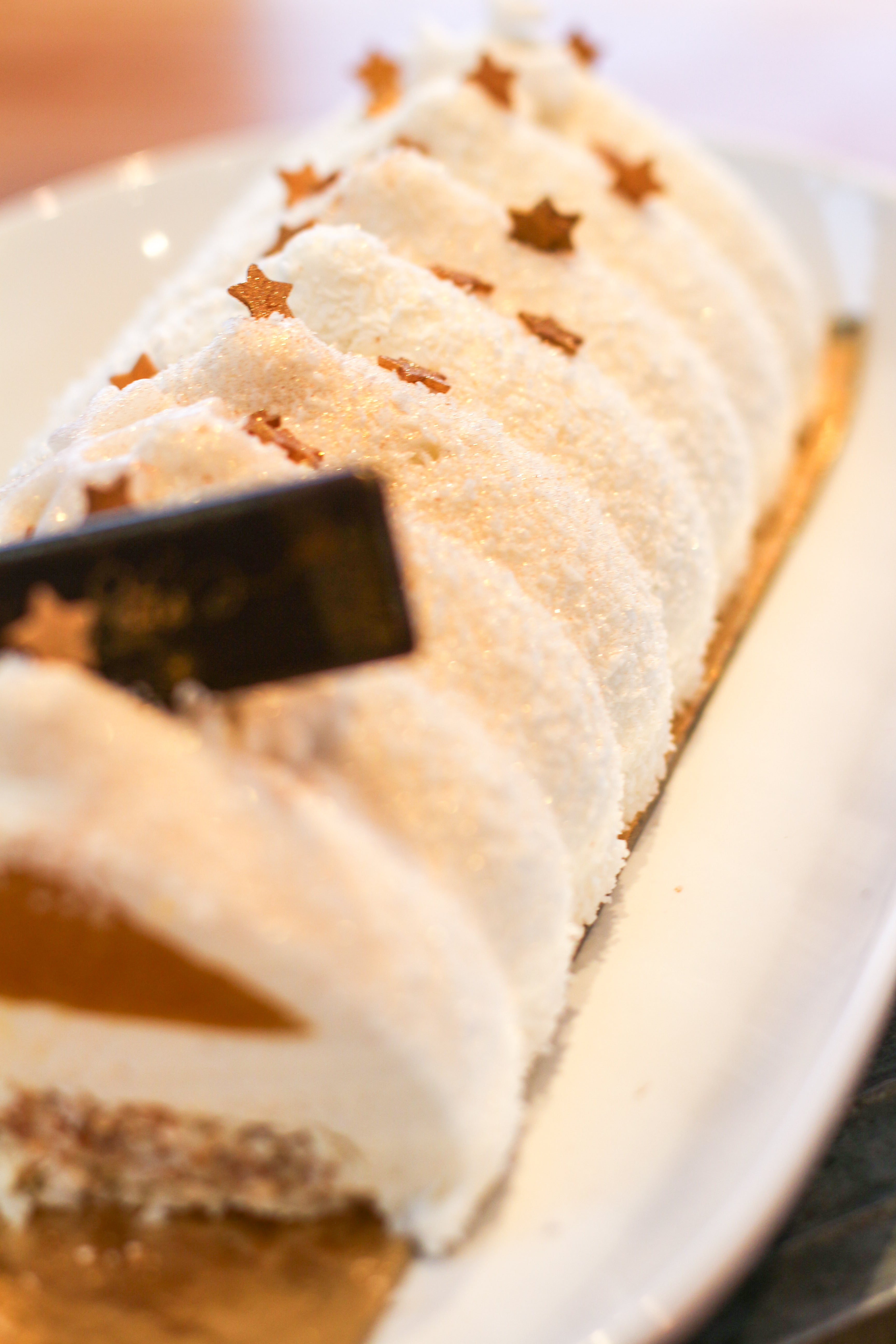 Bûche Coco-Boréale